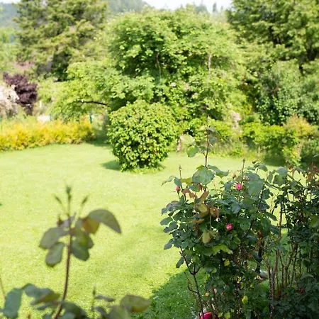 Prázdninový dům Forellenweg