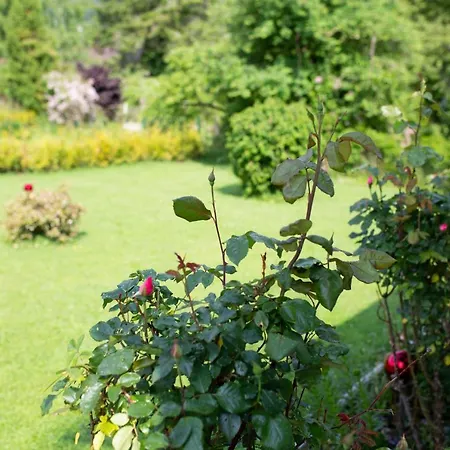 Forellenweg Prázdninový dům *