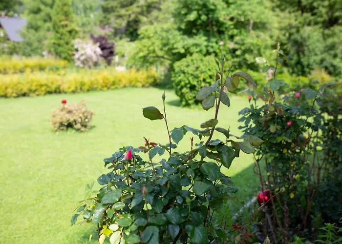 Forellenweg Сasa de vacaciones *